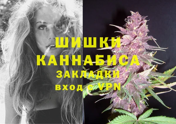 PSILOCYBIN Баксан